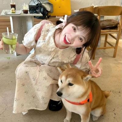 土狼之旅